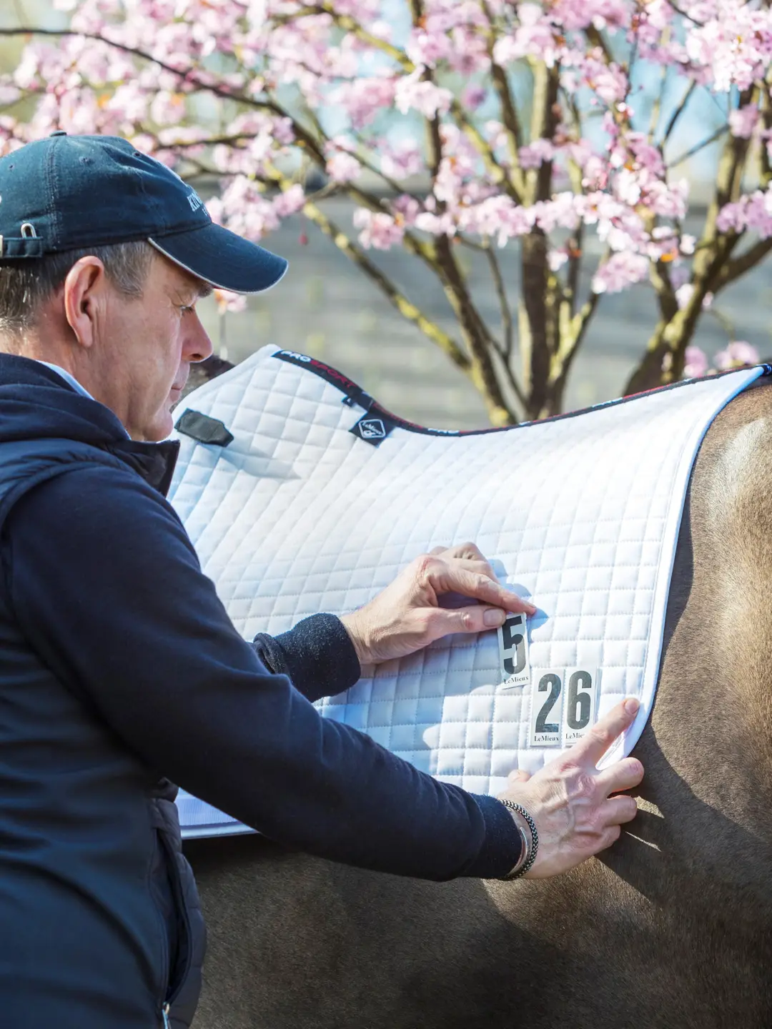 LeMieux Competition Underlag Spring eller Dressur