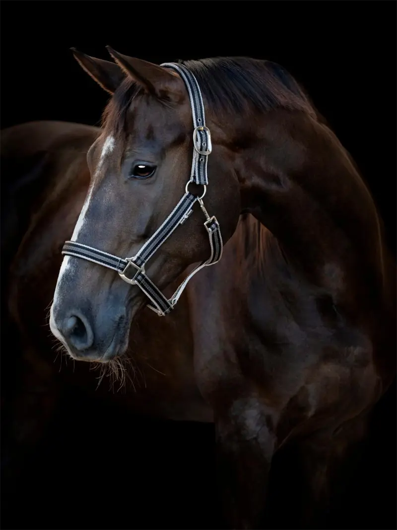 Horse Guard Taro Grime - Sort