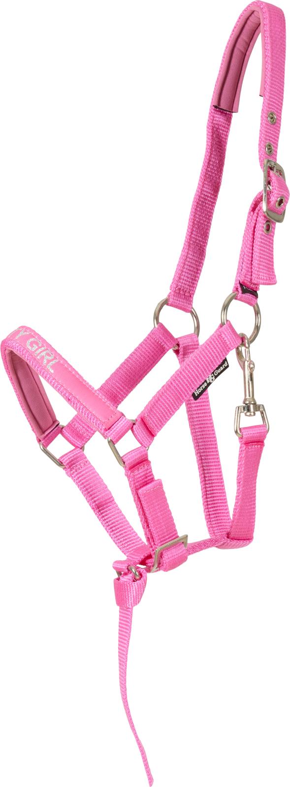 Aktive variantmastere Horse Guard Malva Følgrime Phlox Pink