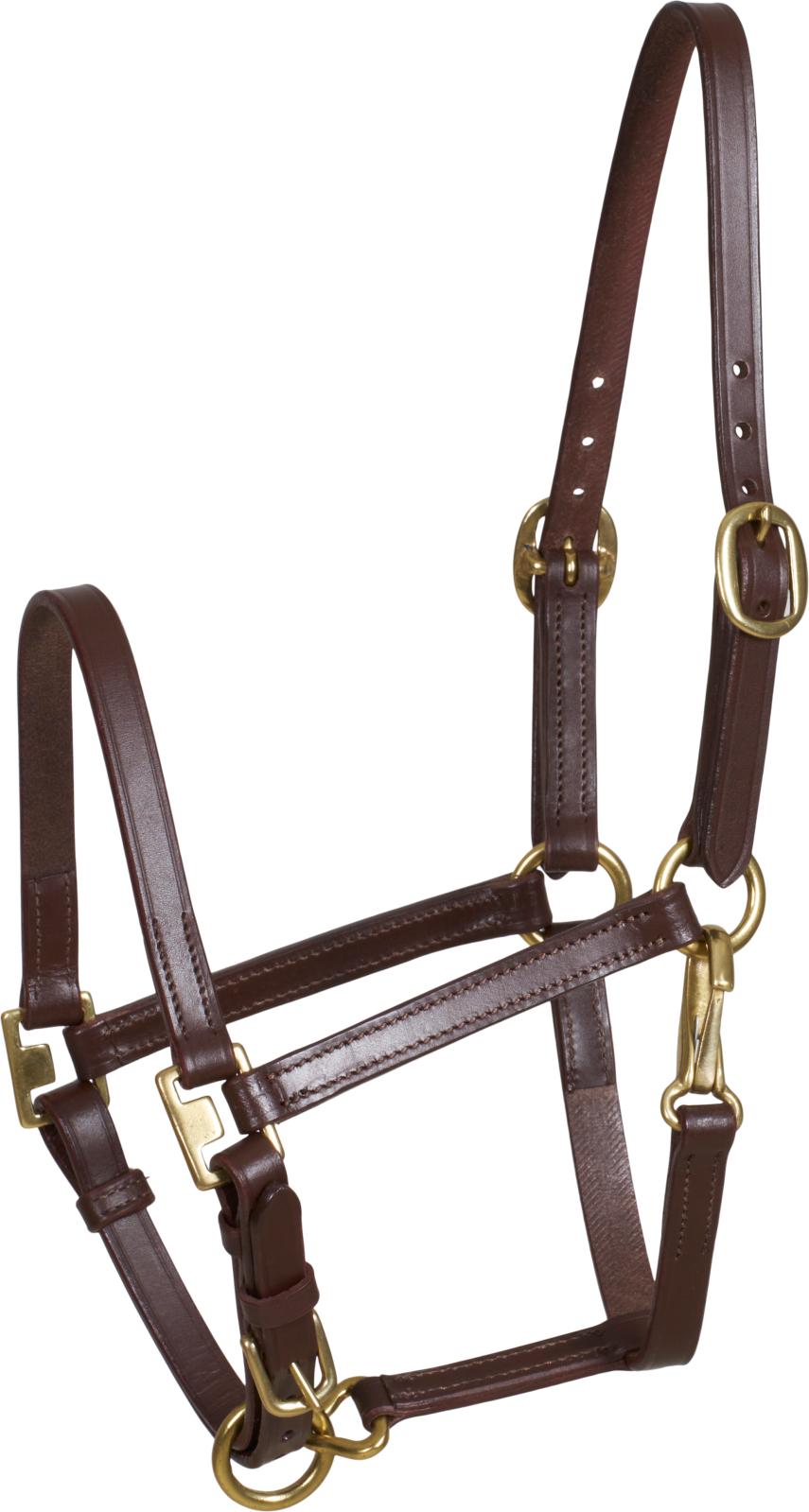 Horse Guard Cheval Følgrime