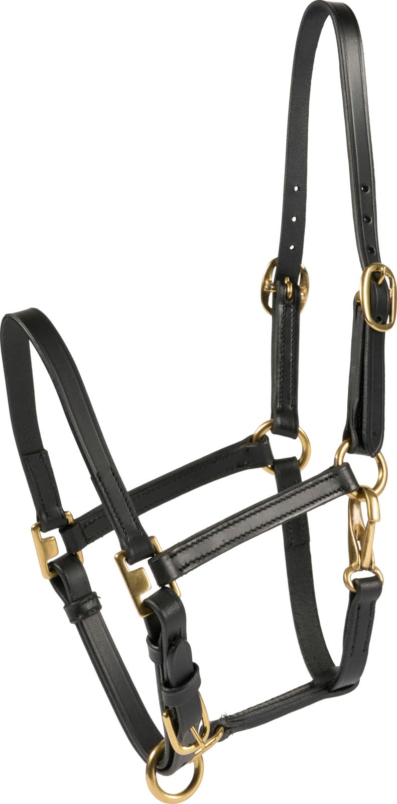 Horse Guard Cheval Følgrime