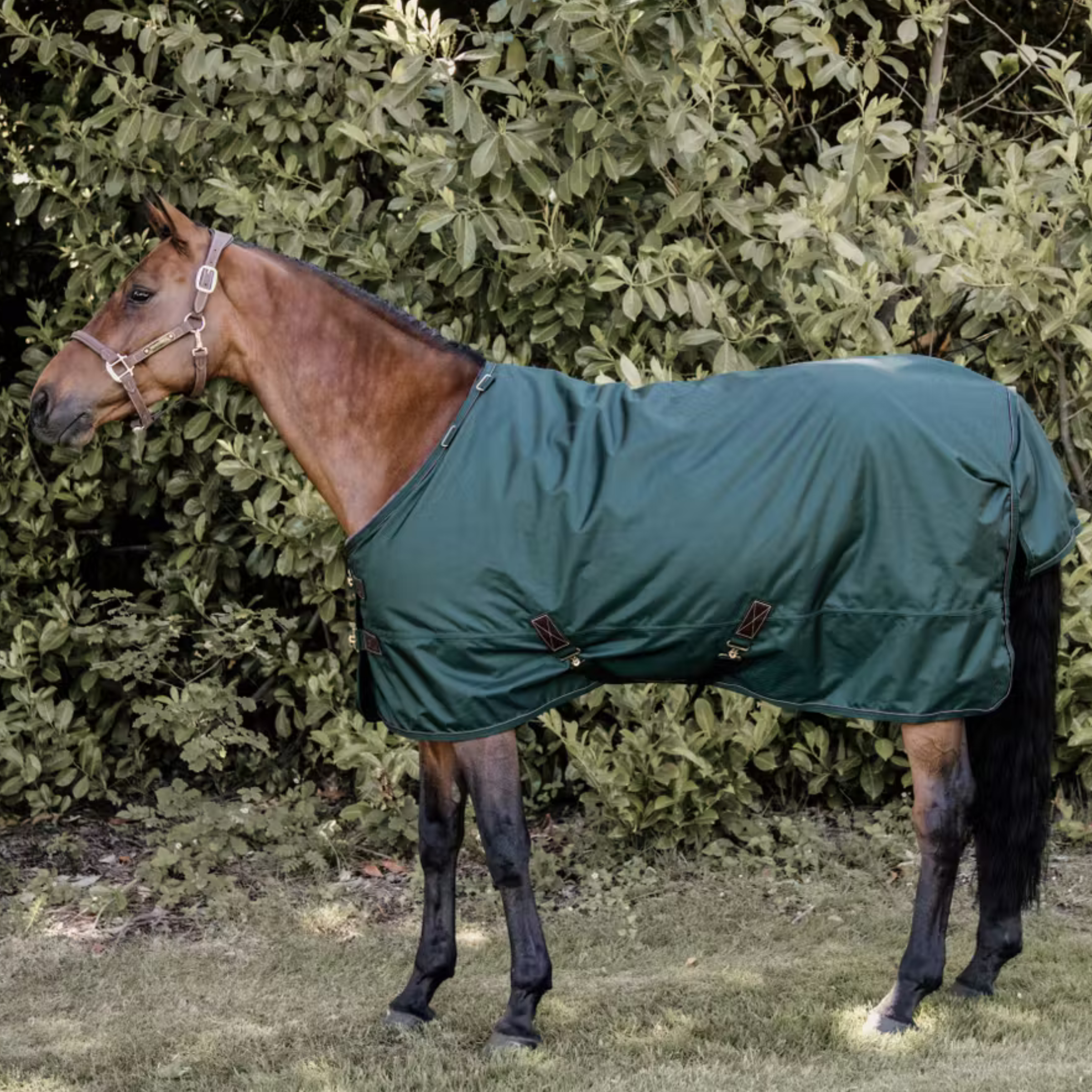 Kentucky All Weather Dækken 160g - Mørk Grøn