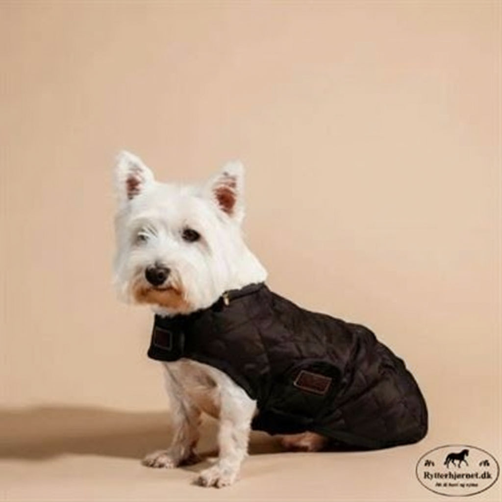 Kentucky Hundedækken - Brun