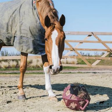 Kentucky Høbold - Bordeaux