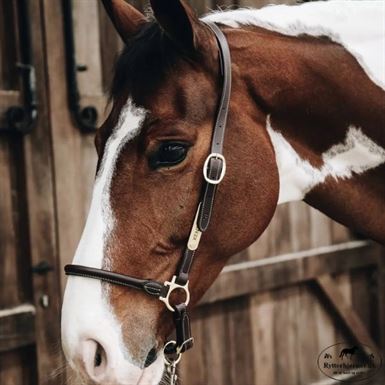 Kentucky Grooming Læder Grime - Brun