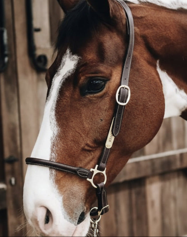 Kentucky Grooming Læder Grime - Brun