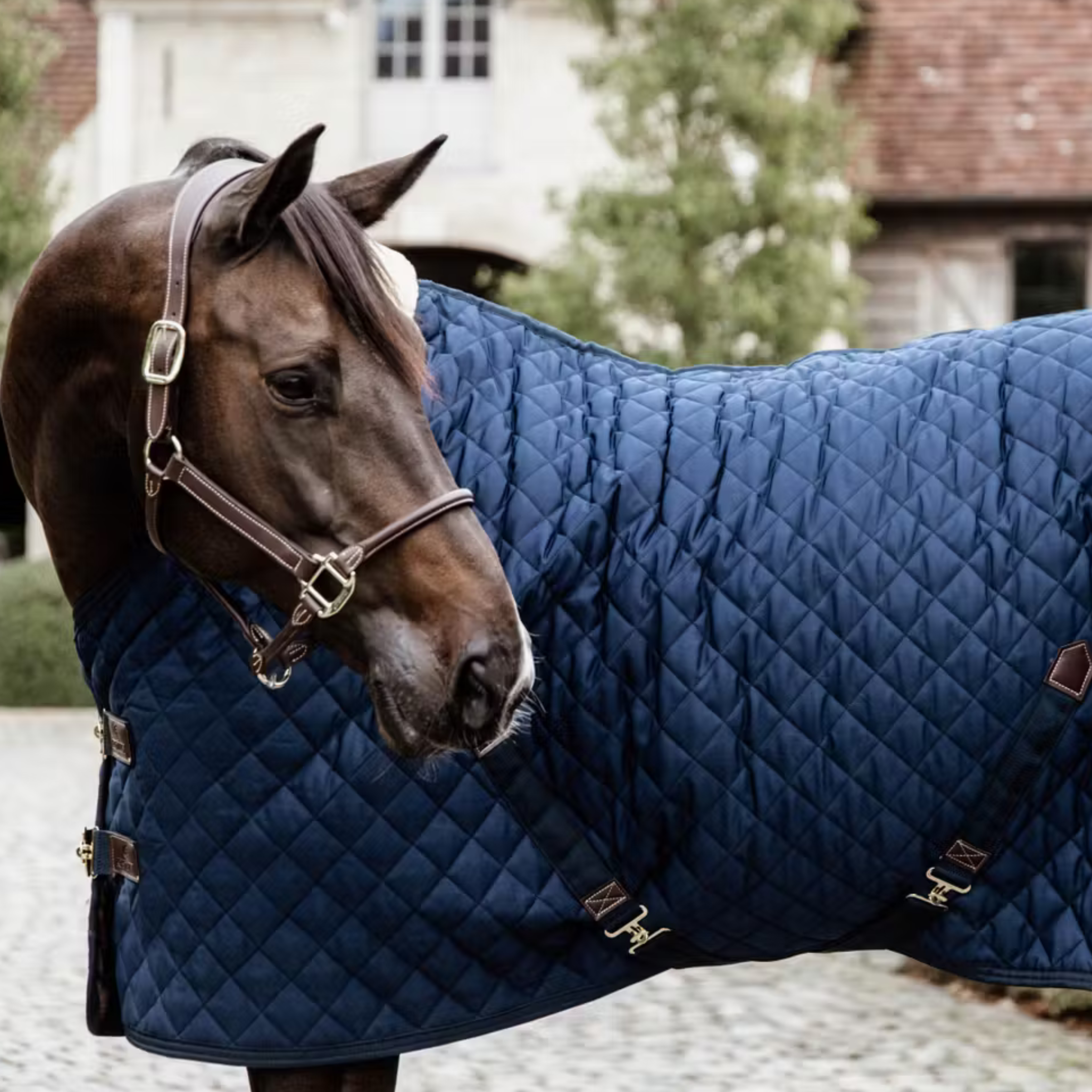 Kentucky Stalddækken 400gr. - Navy