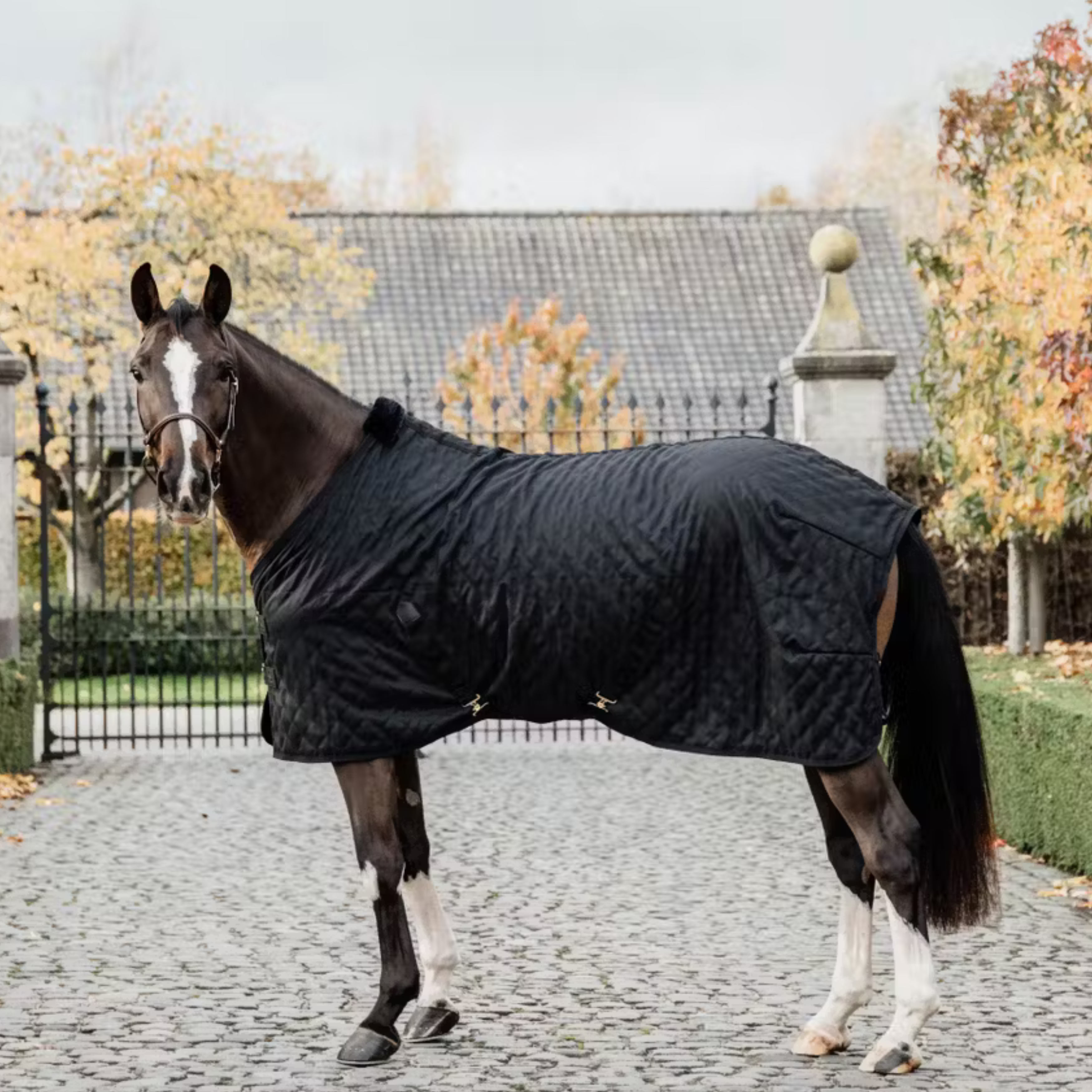 Kentucky Stalddækken, 0g. - Sort / Sort
