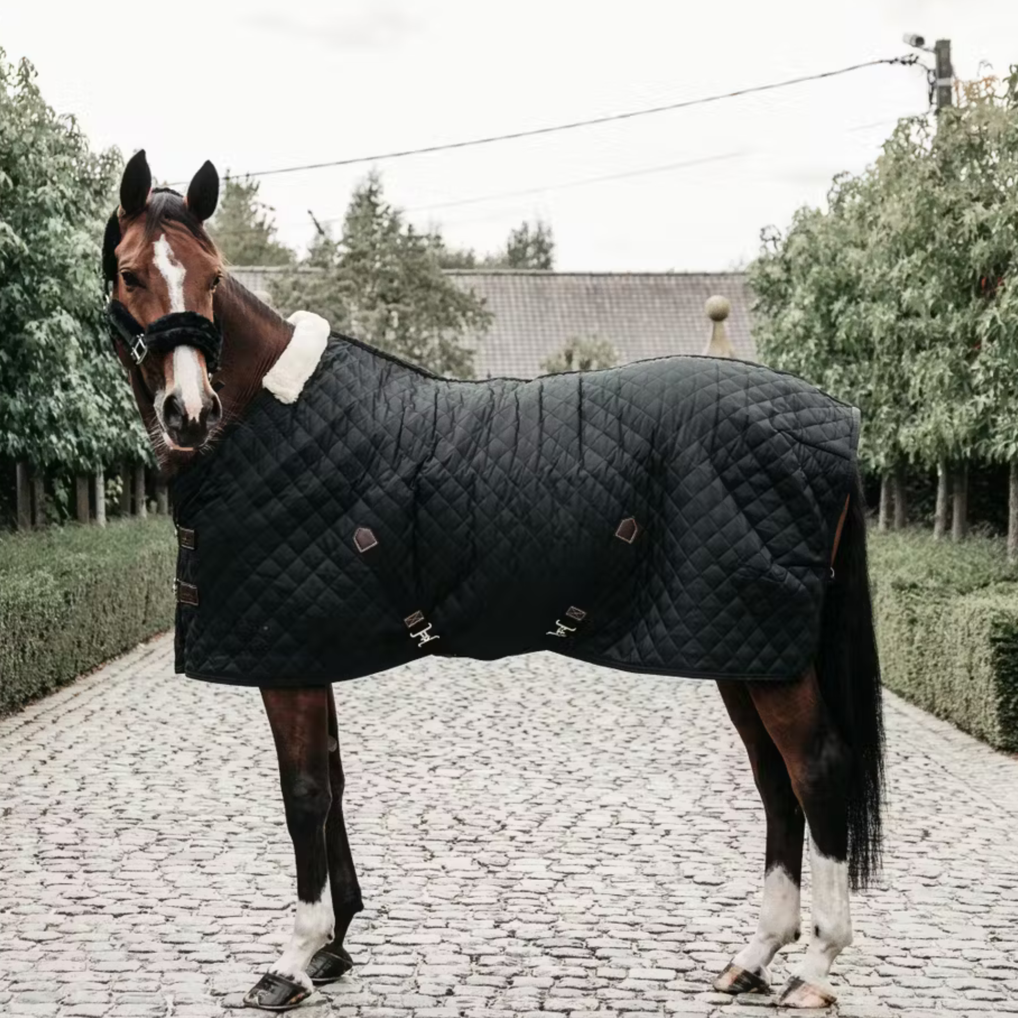 Kentucky Stalddækken, 400gr. - Sort