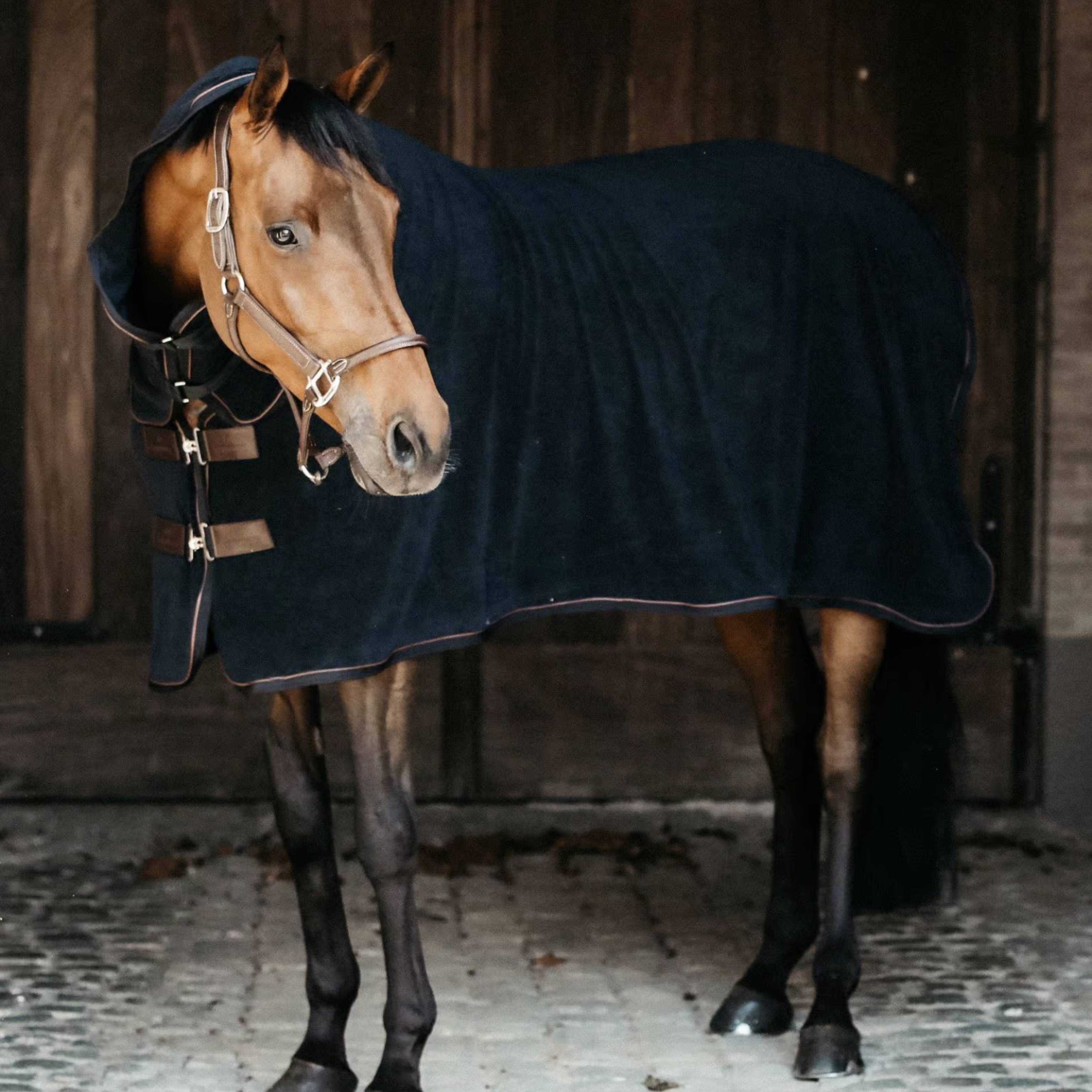 Kentucky Towel Dækken - Sort