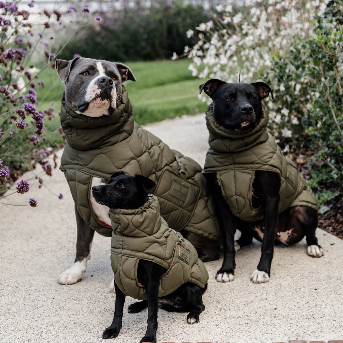 Kentucky Hunde Vinterdækken - Pine Green