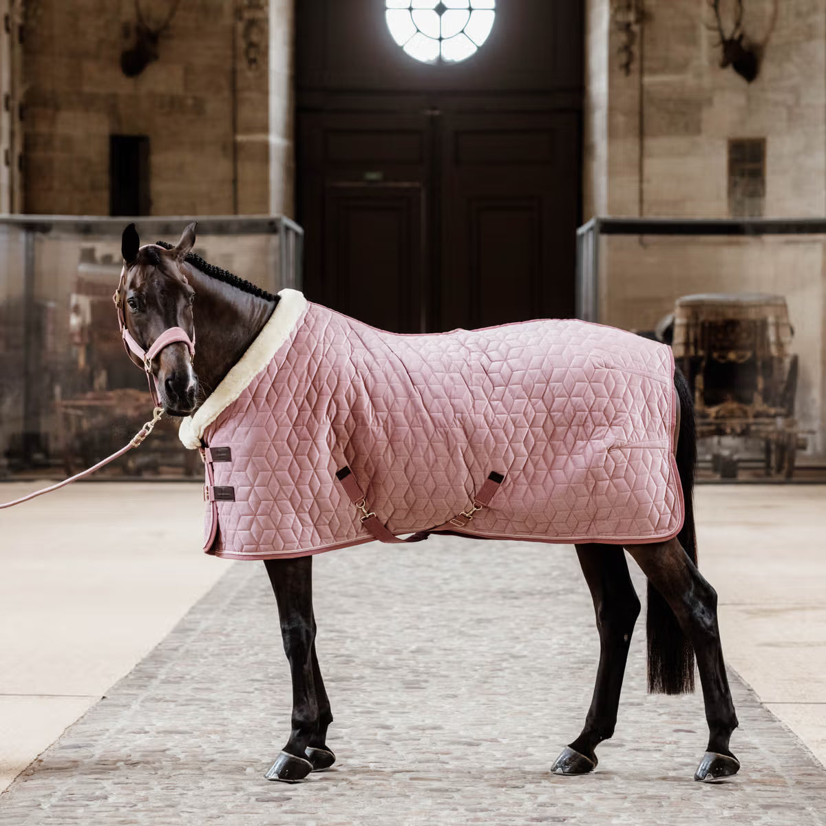 Kentucky Velour Show Rug 160g