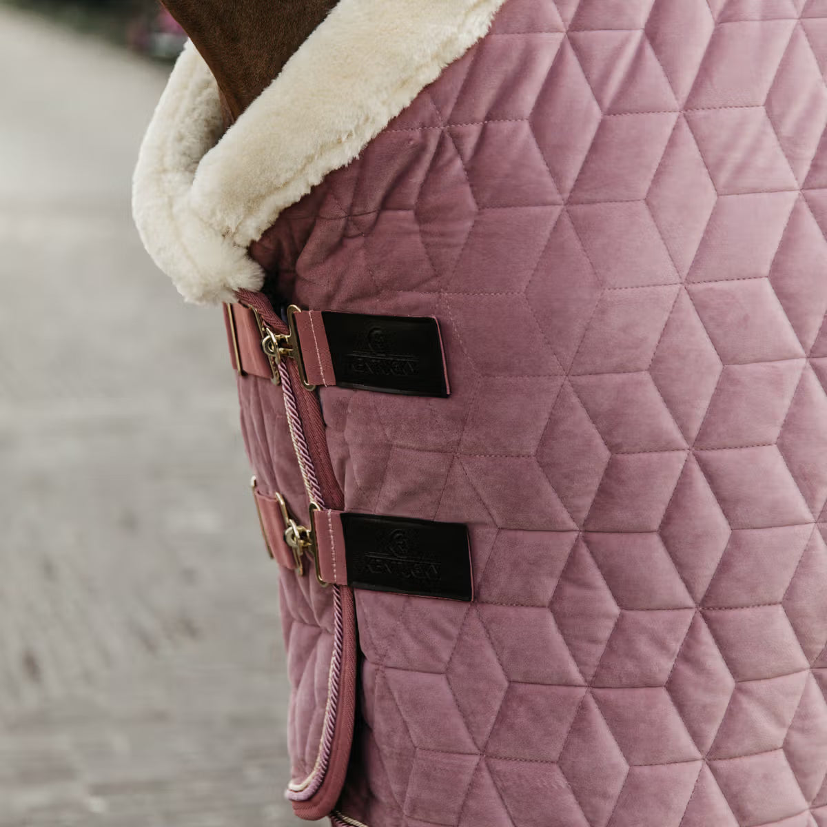 Kentucky Velour Show Rug 160g