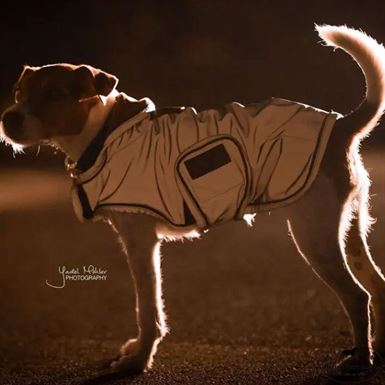 Kentucky Reflective og Water Repellent Hundedækken - Silver