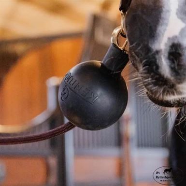 Kentucky Lead & Wall Rubber Ball - Sort