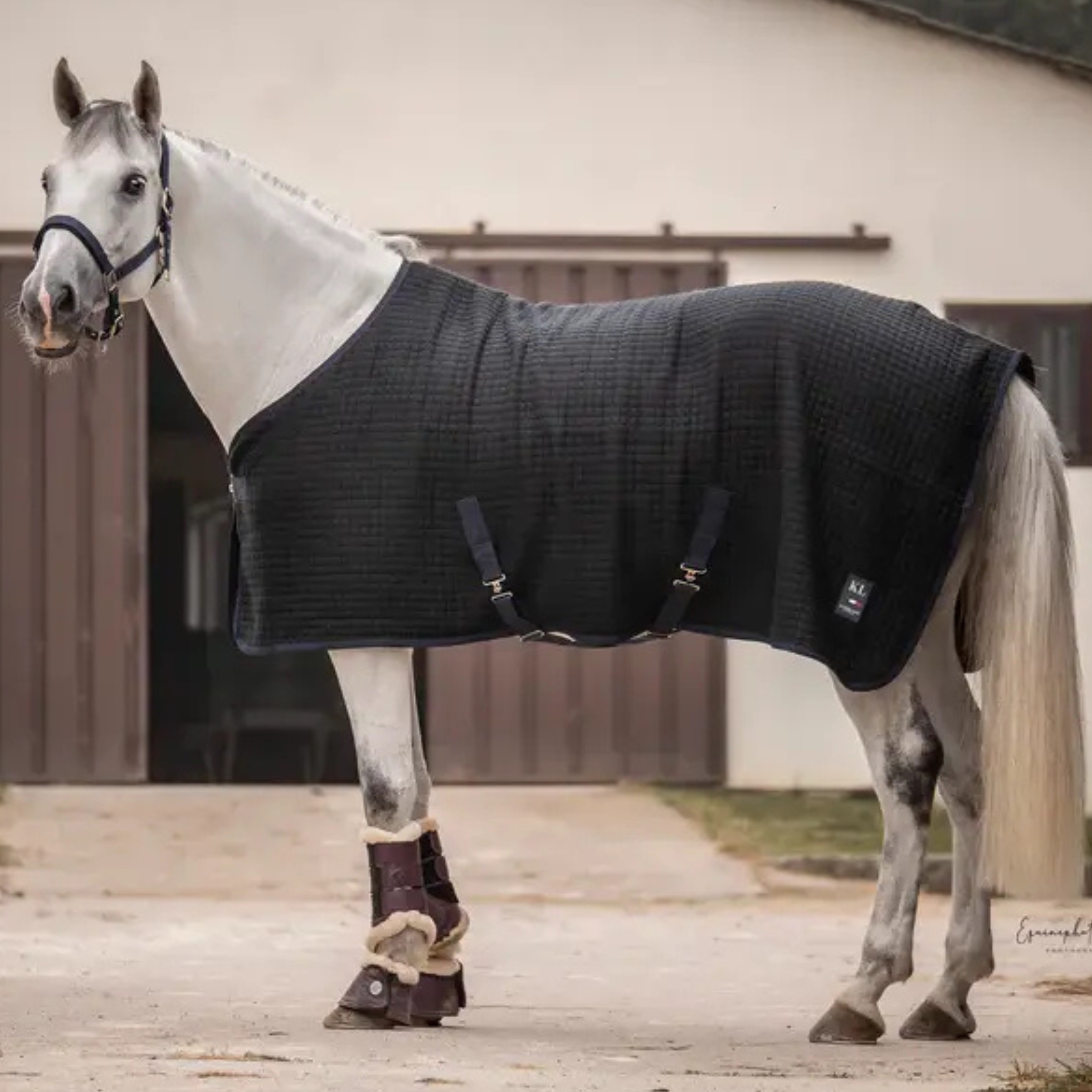 Kingsland Classic Uld Evolution Dækken - Navy