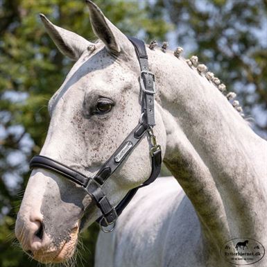 LeMieux Capella Grime - Grå