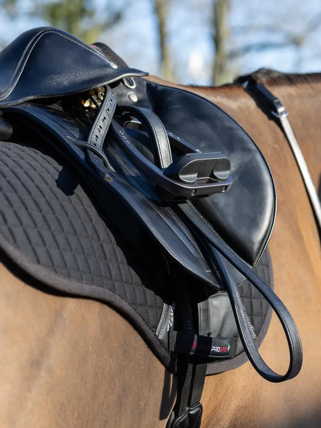 LeMieux Arika Stigremme