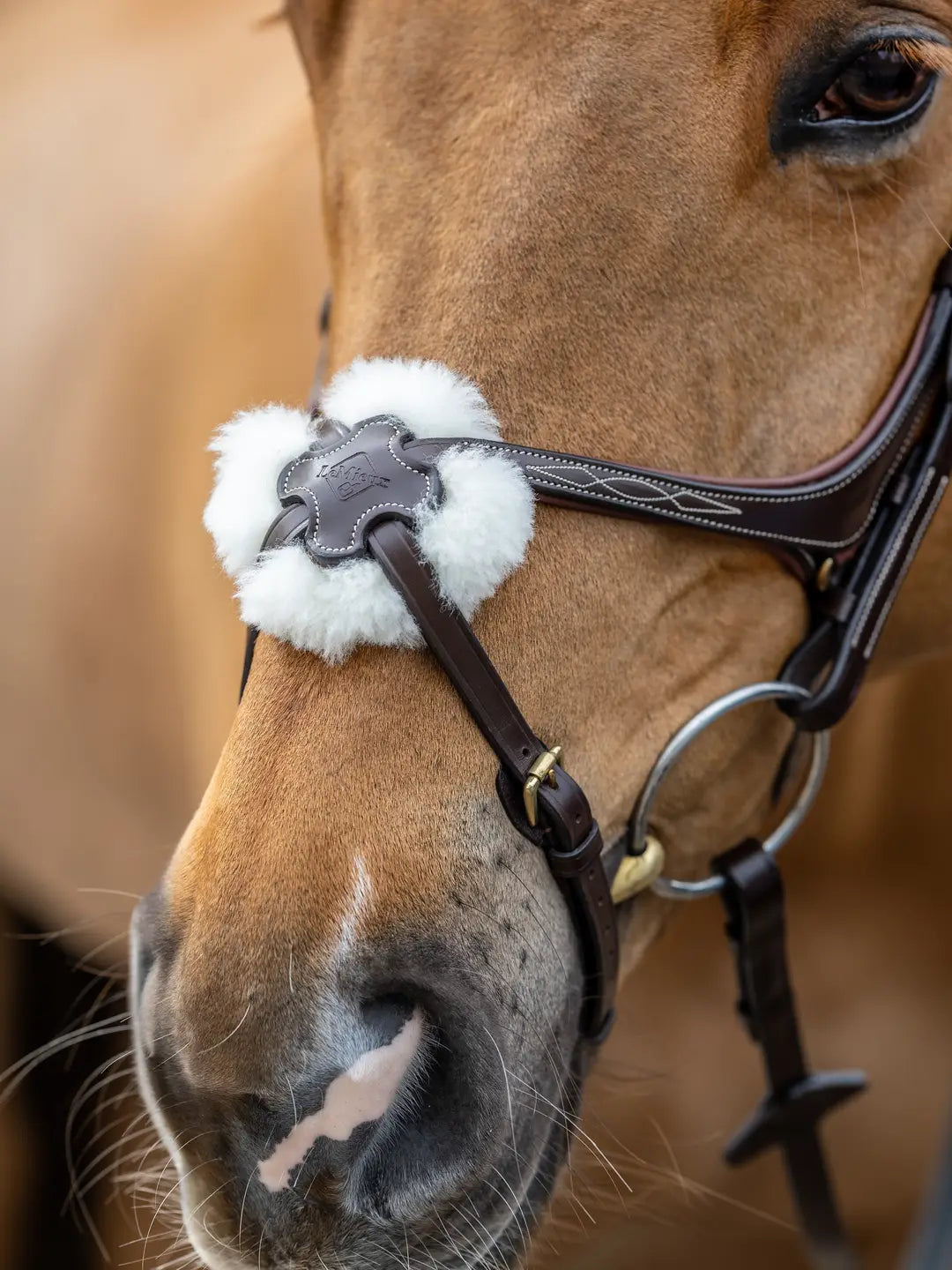 LeMieux Kudos Grackle Trense