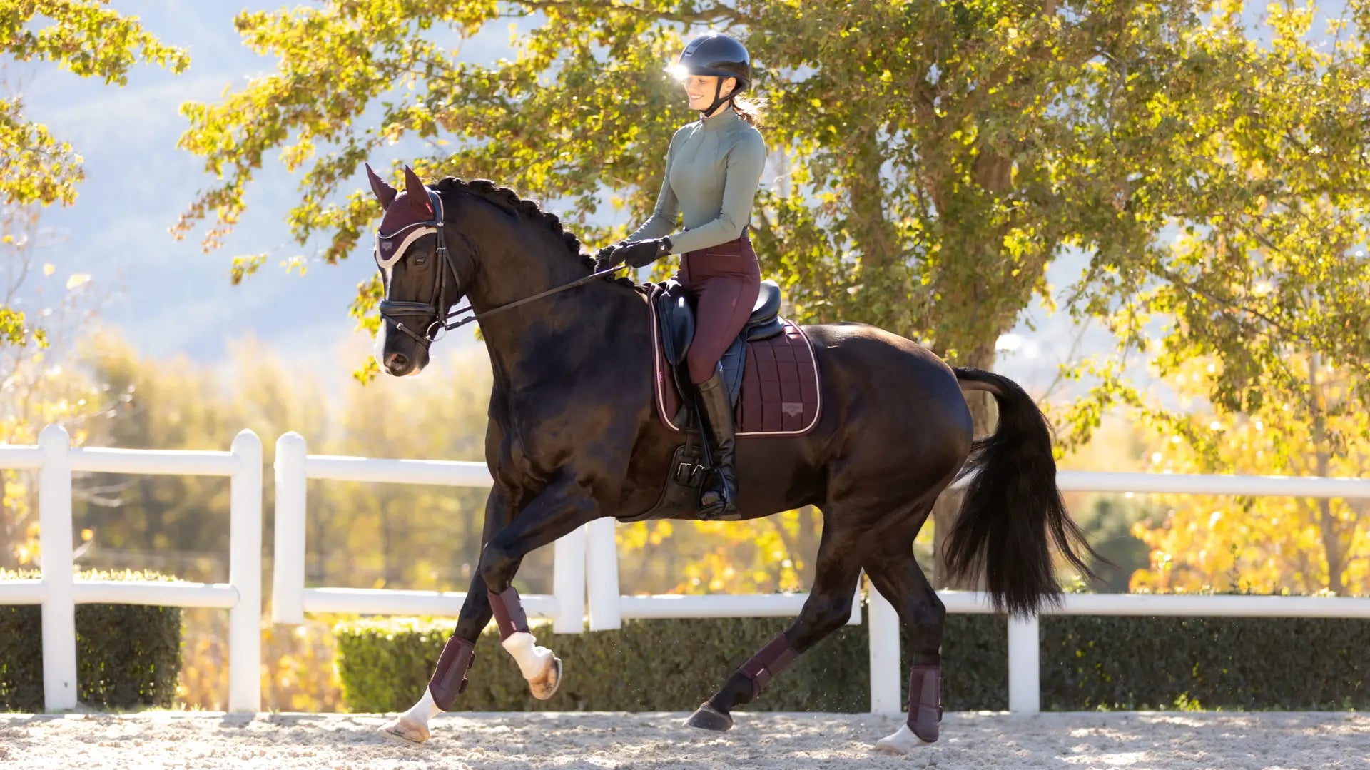 LeMieux Loire Classic Dressurunderlag