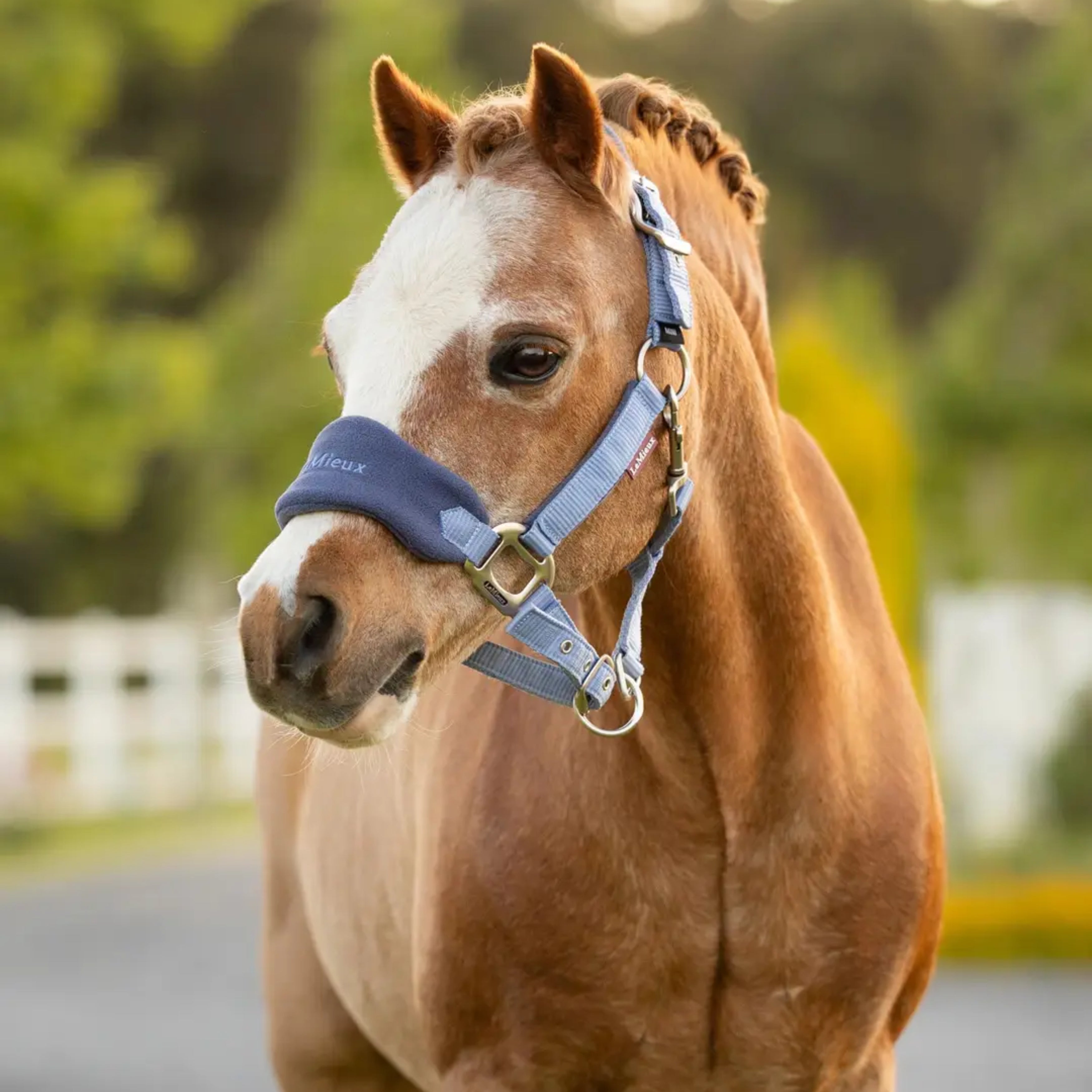 LeMieux Mini Vogue Grime & Træktov