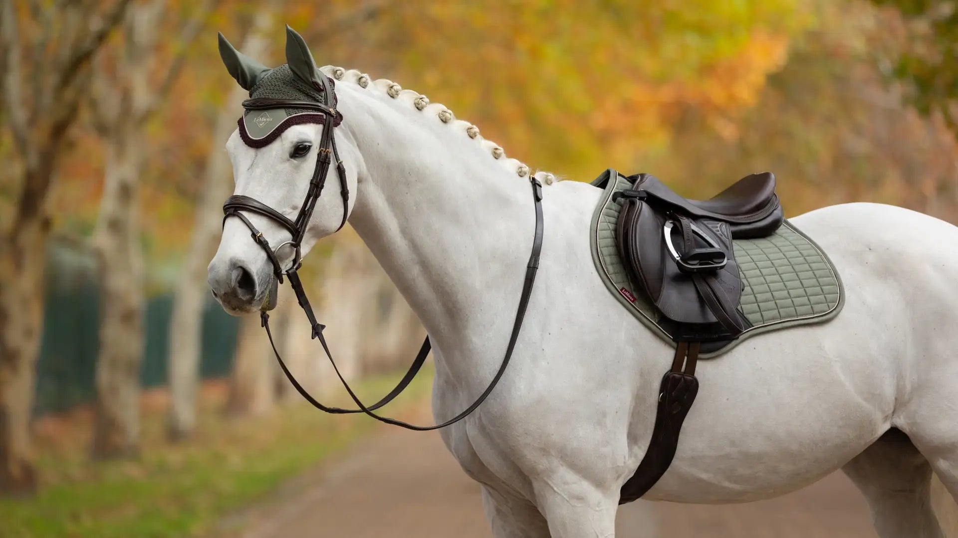 LeMieux Suede CC Square Springunderlag