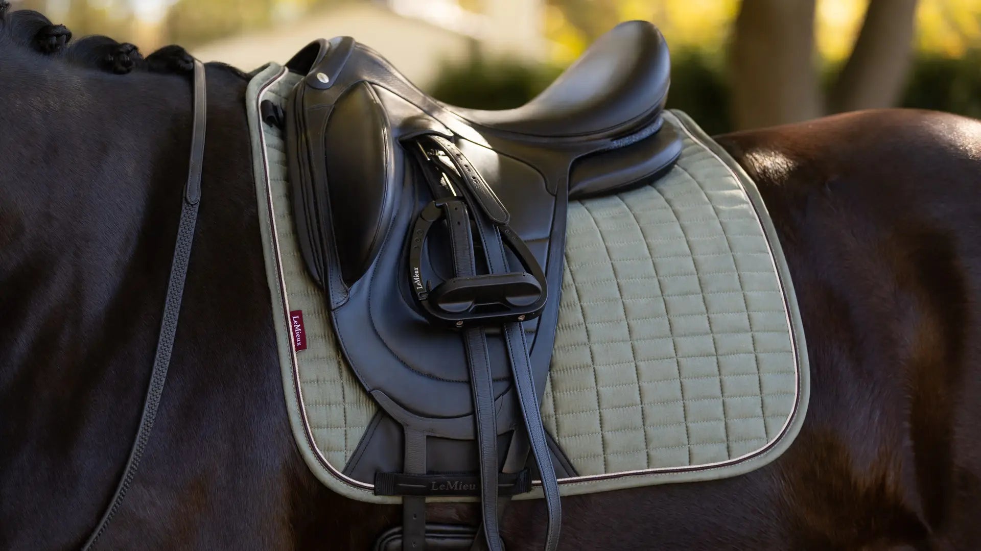 LeMieux Suede Square Dressurunderlag