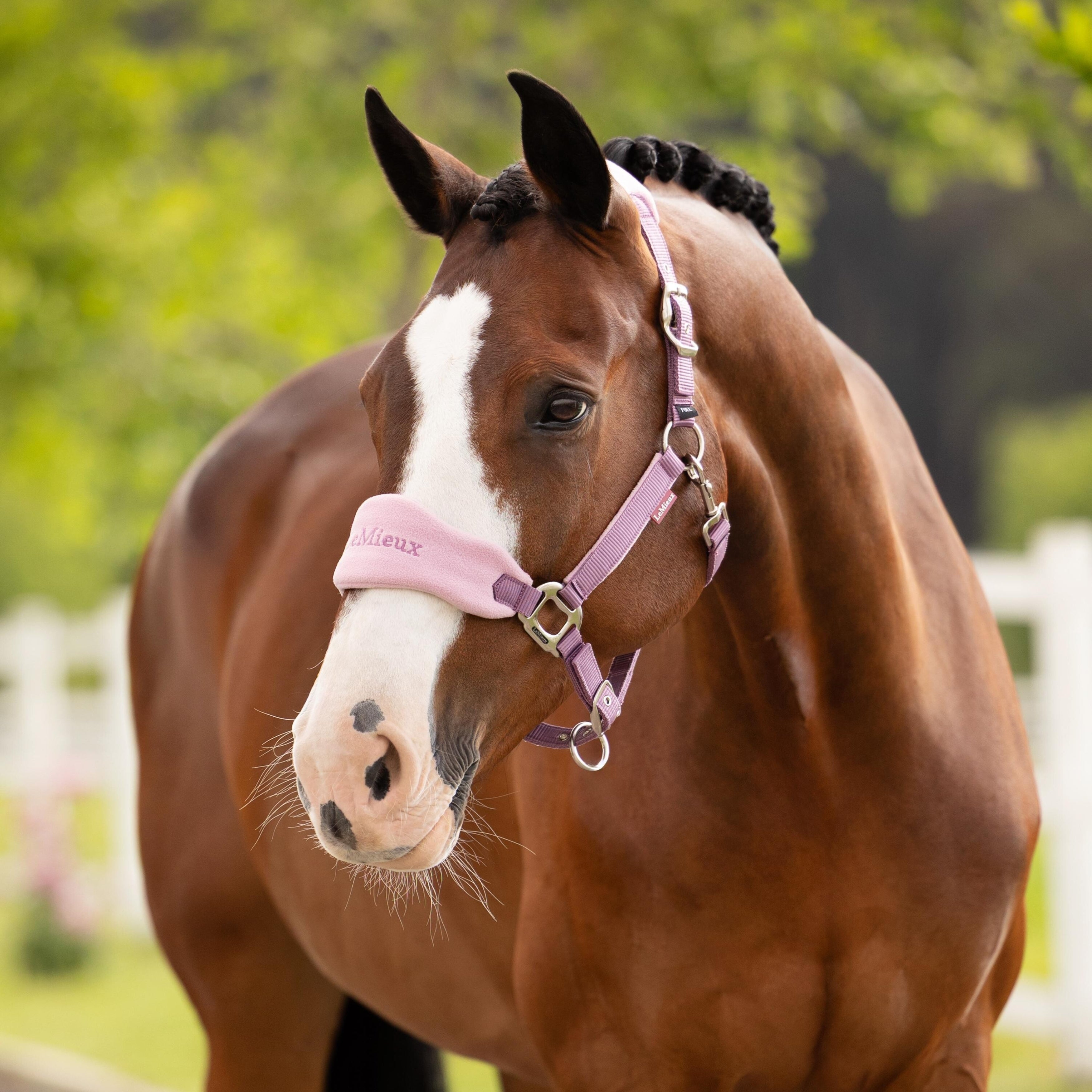 LeMieux Vogue Grime og Træktov