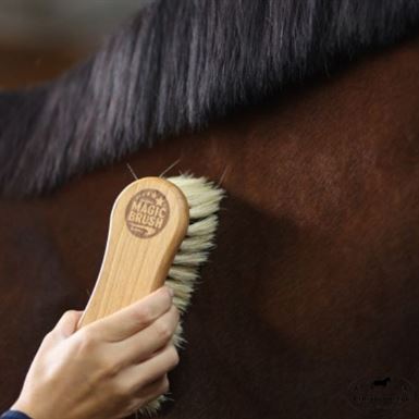 Magic Brush Kombi-strigle