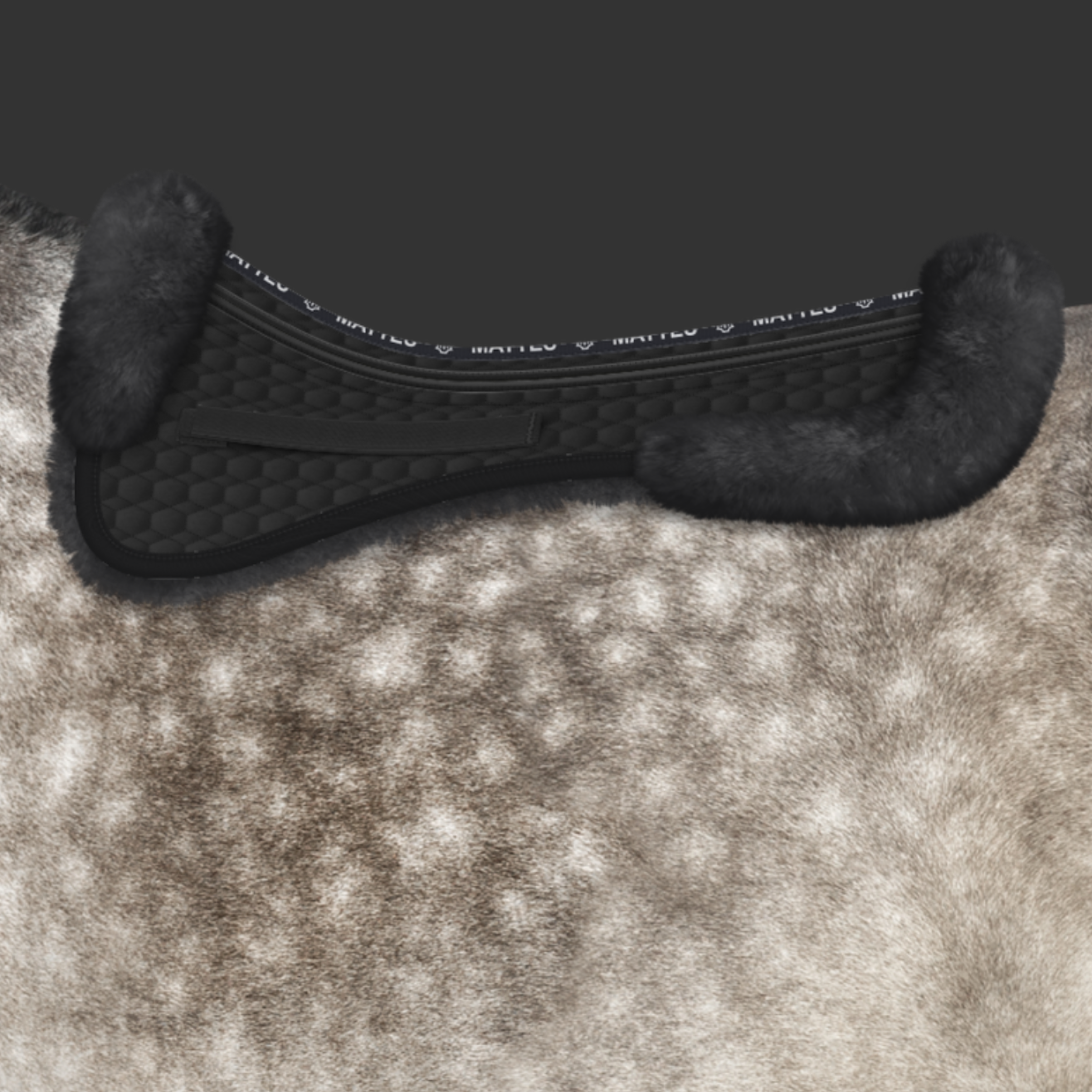 Mattes Korrektionspad Lam Dressur Med Kant - Sort/Sort