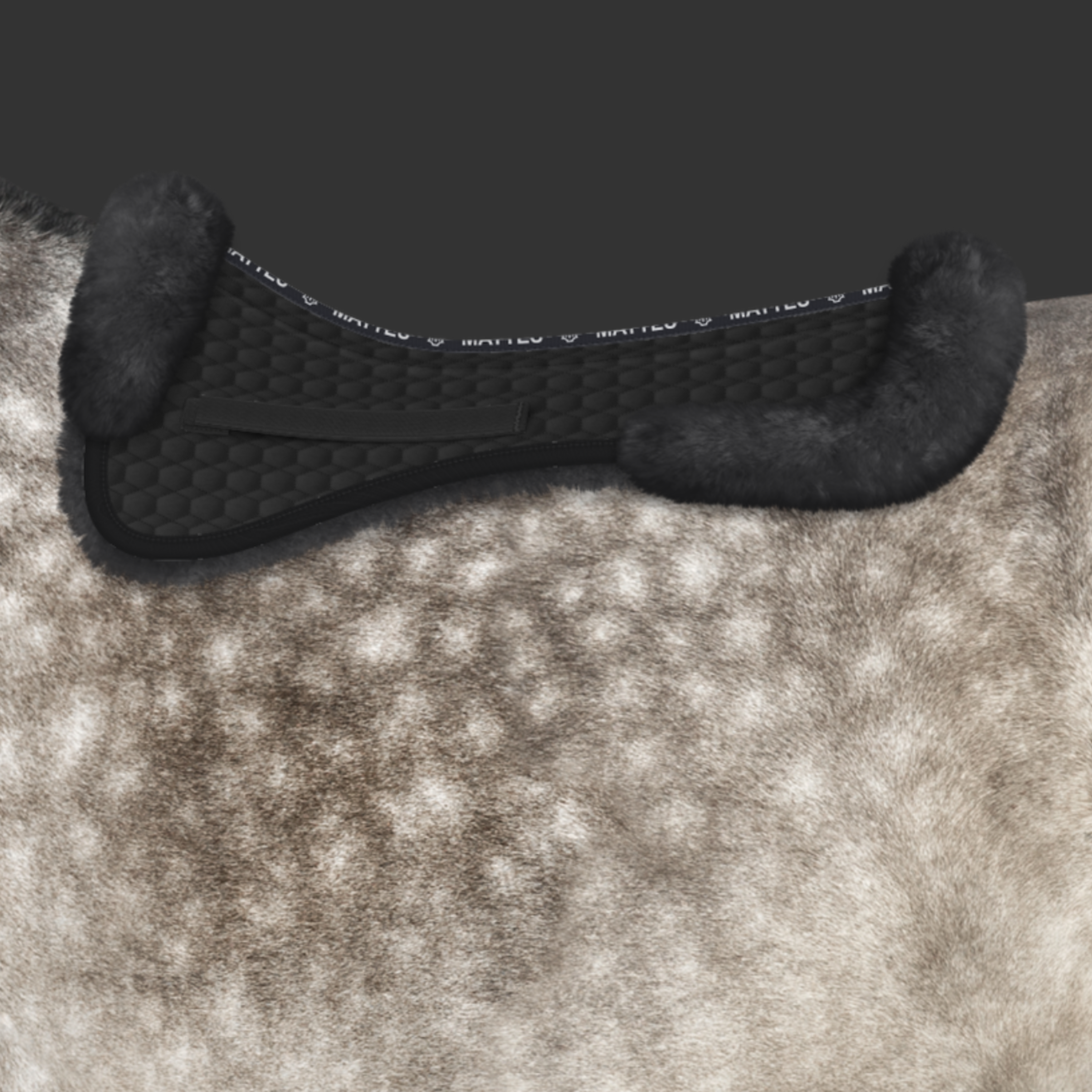 Mattes Lammepad Med Kant Dressur - Sort/Sort