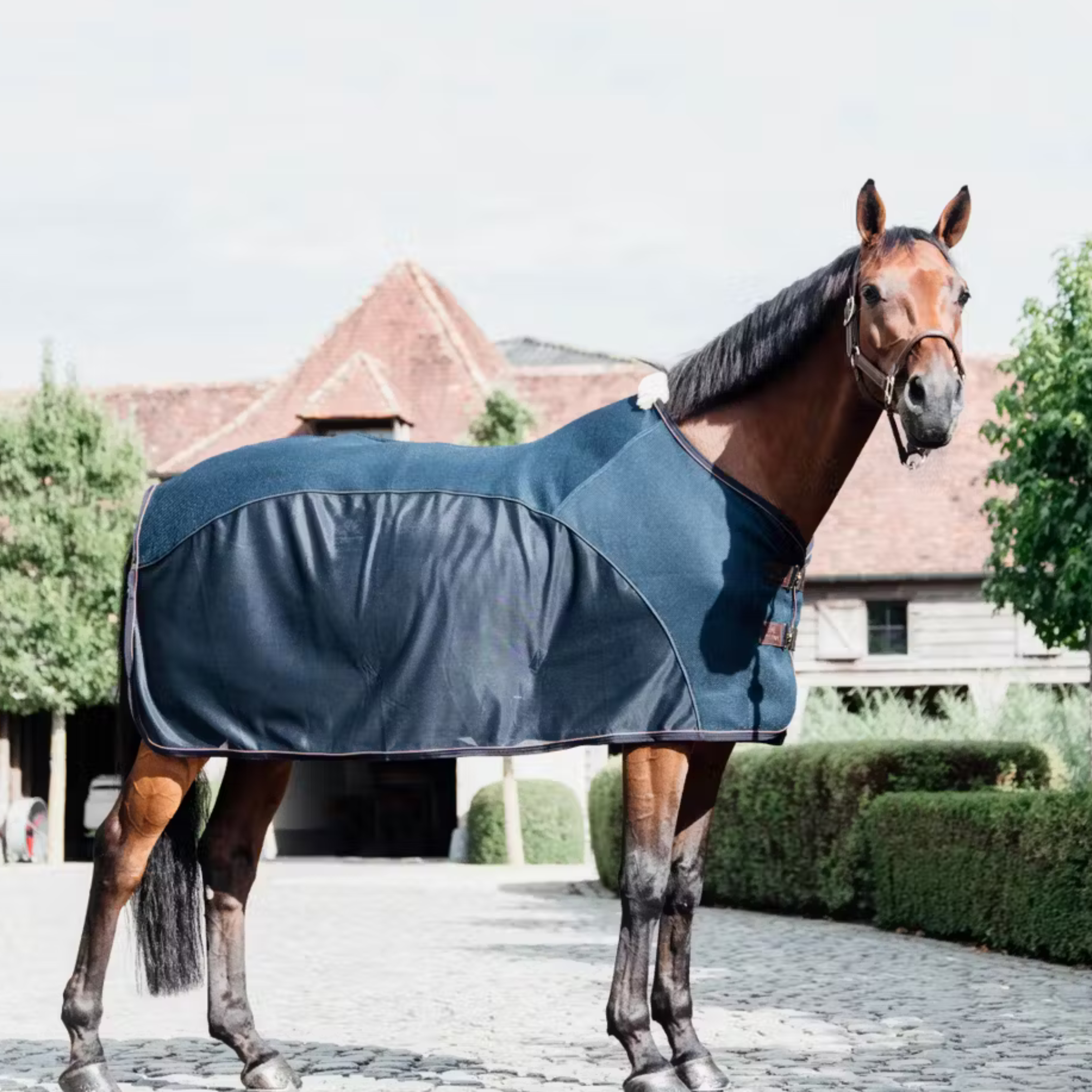 Kentucky Mesh Combo Coolerdækken - Navy