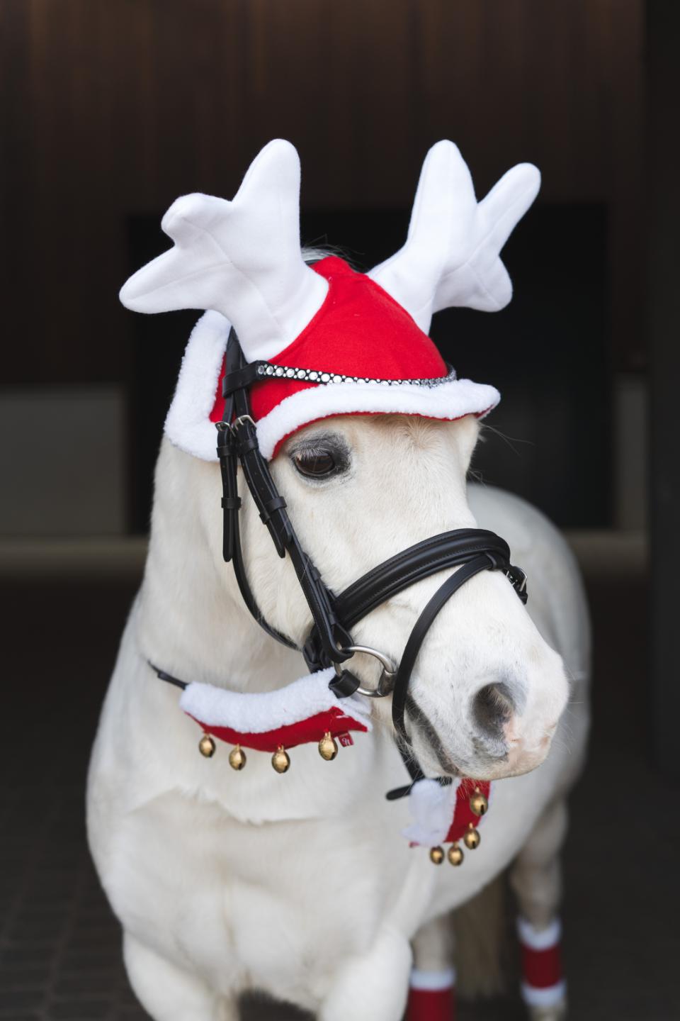 Næse-nakke beskytter m bjælder