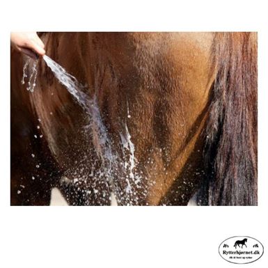 Nathalie Horsecare All Brown - 500ml