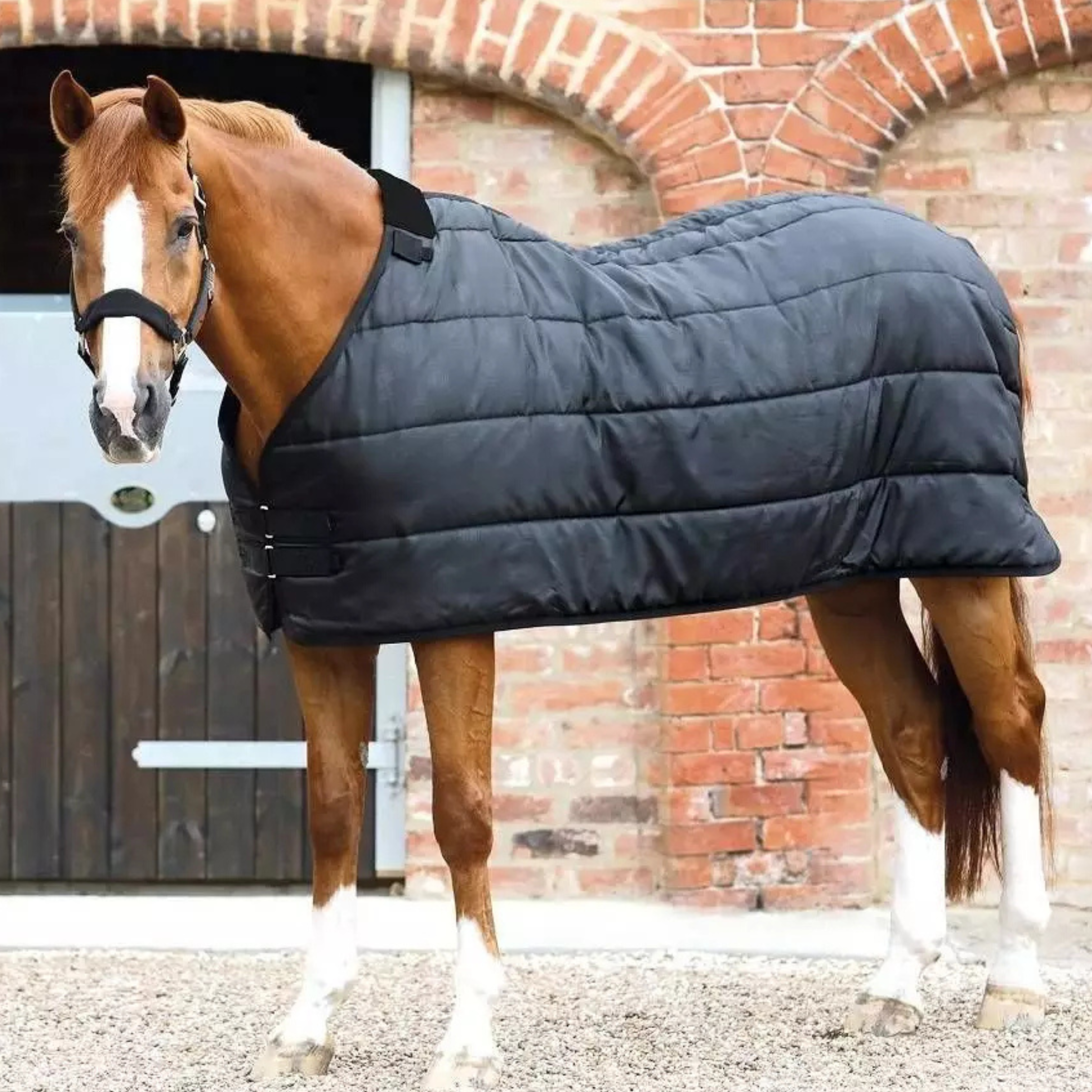 Premier Equine Liner 200 Gram - Sort