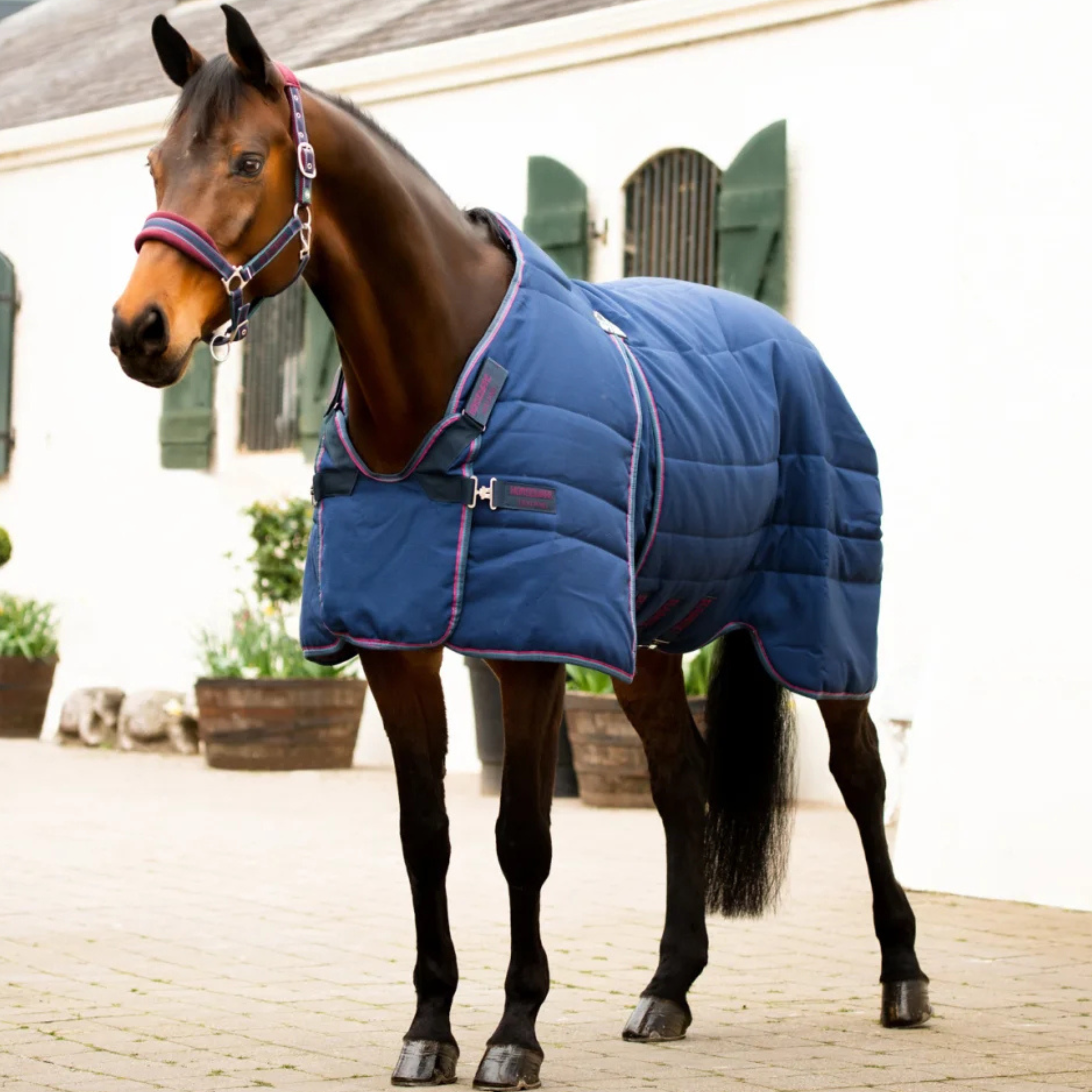 Rambo Optimo Stalddækken 200g - Navy/Burg