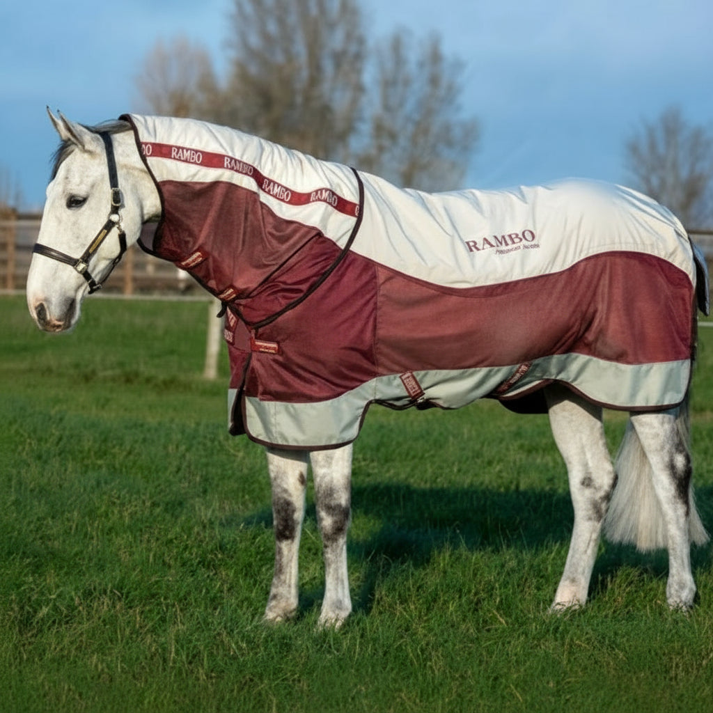 Rambo Summer Series m. Disc-Front - Flere Farver