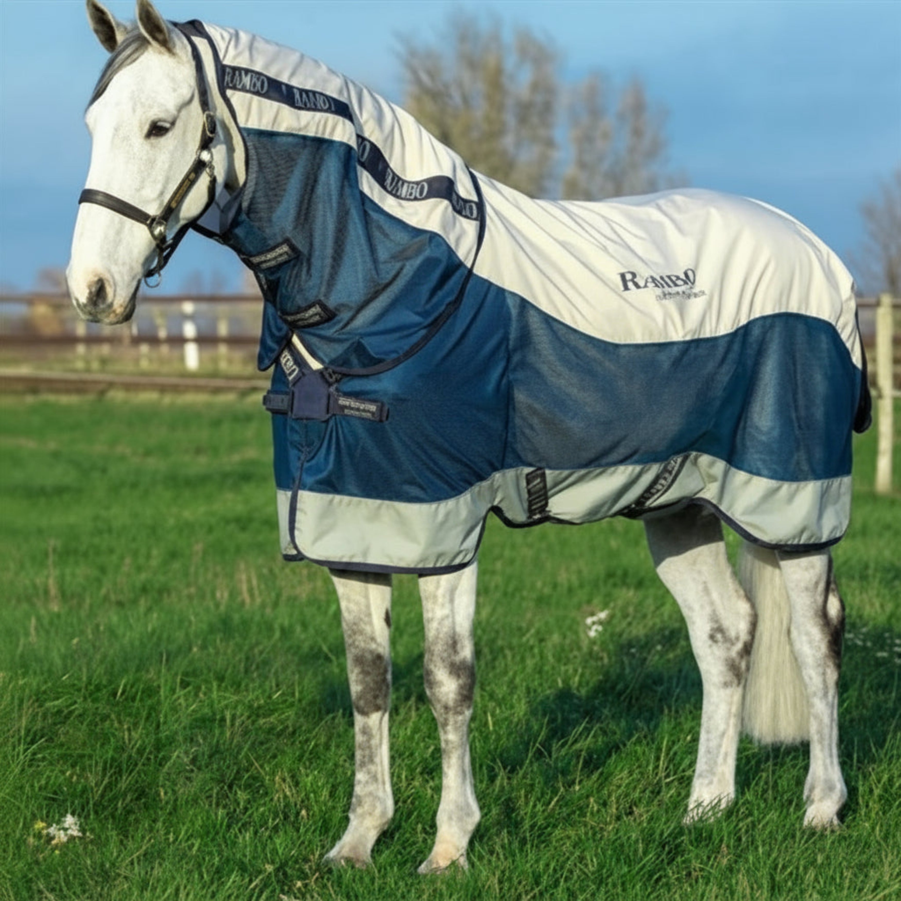 Rambo Summer Series m. Disc-Front - Flere Farver