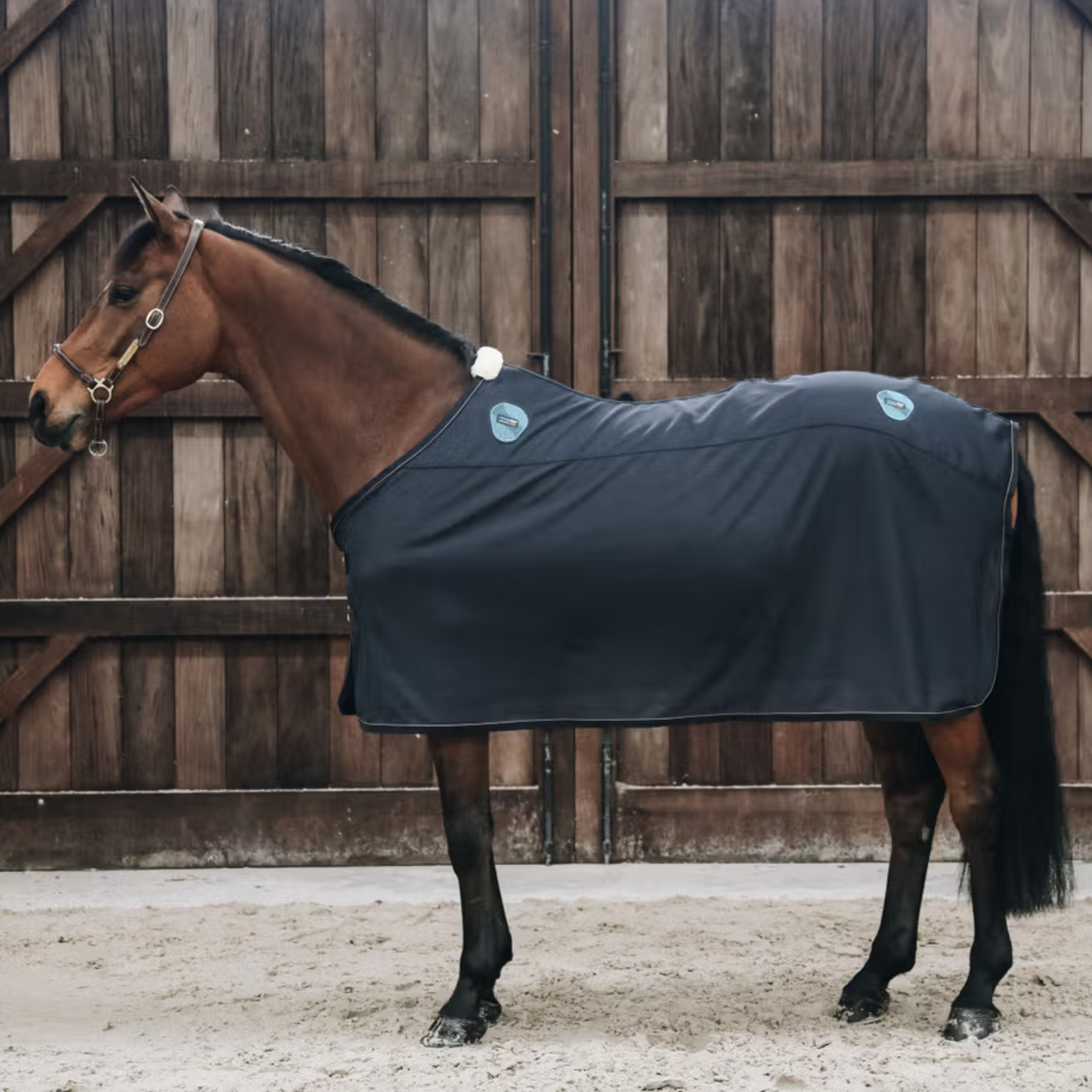 Kentucky Recuptex Magnetic Dækken