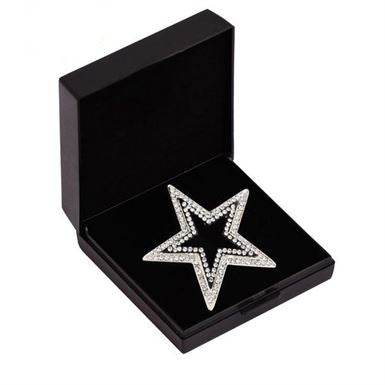 SD stjerne Broche