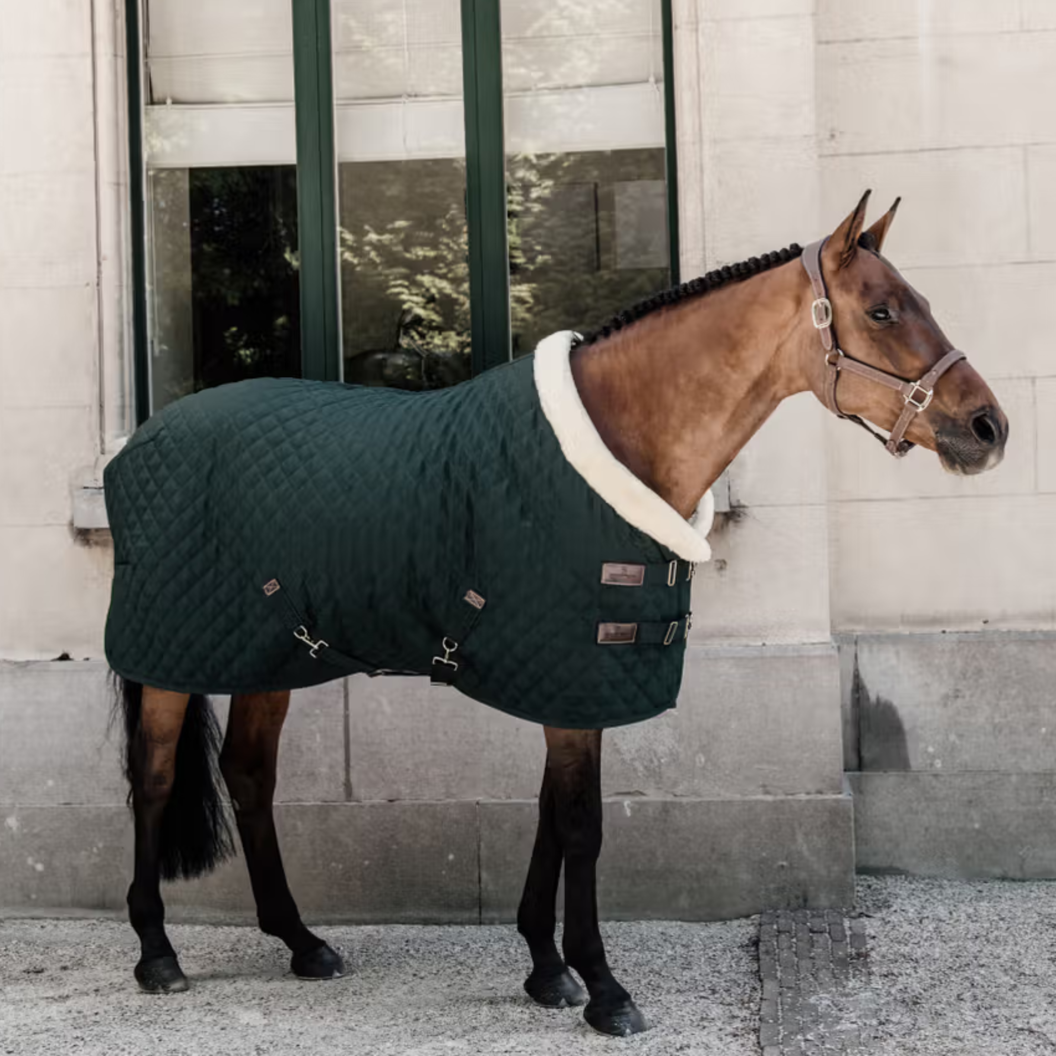 Kentucky Show Dækken 160 g - Dark Green