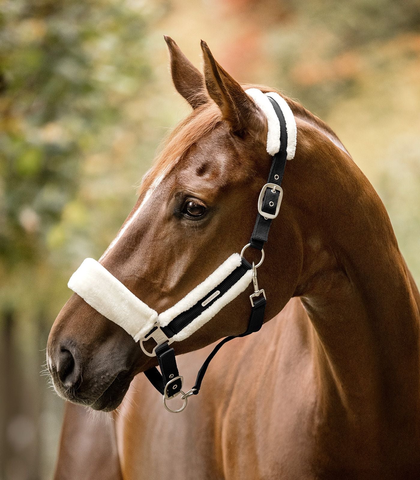 Waldhausen Soft Grime - Sort