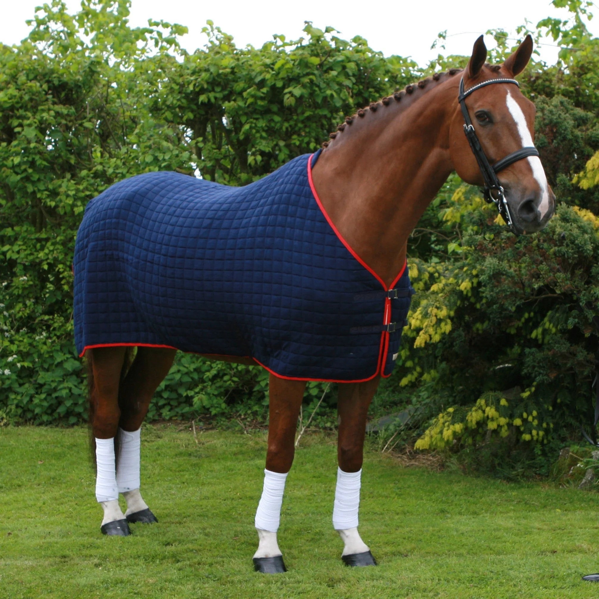 Thermatex Wicking Rug