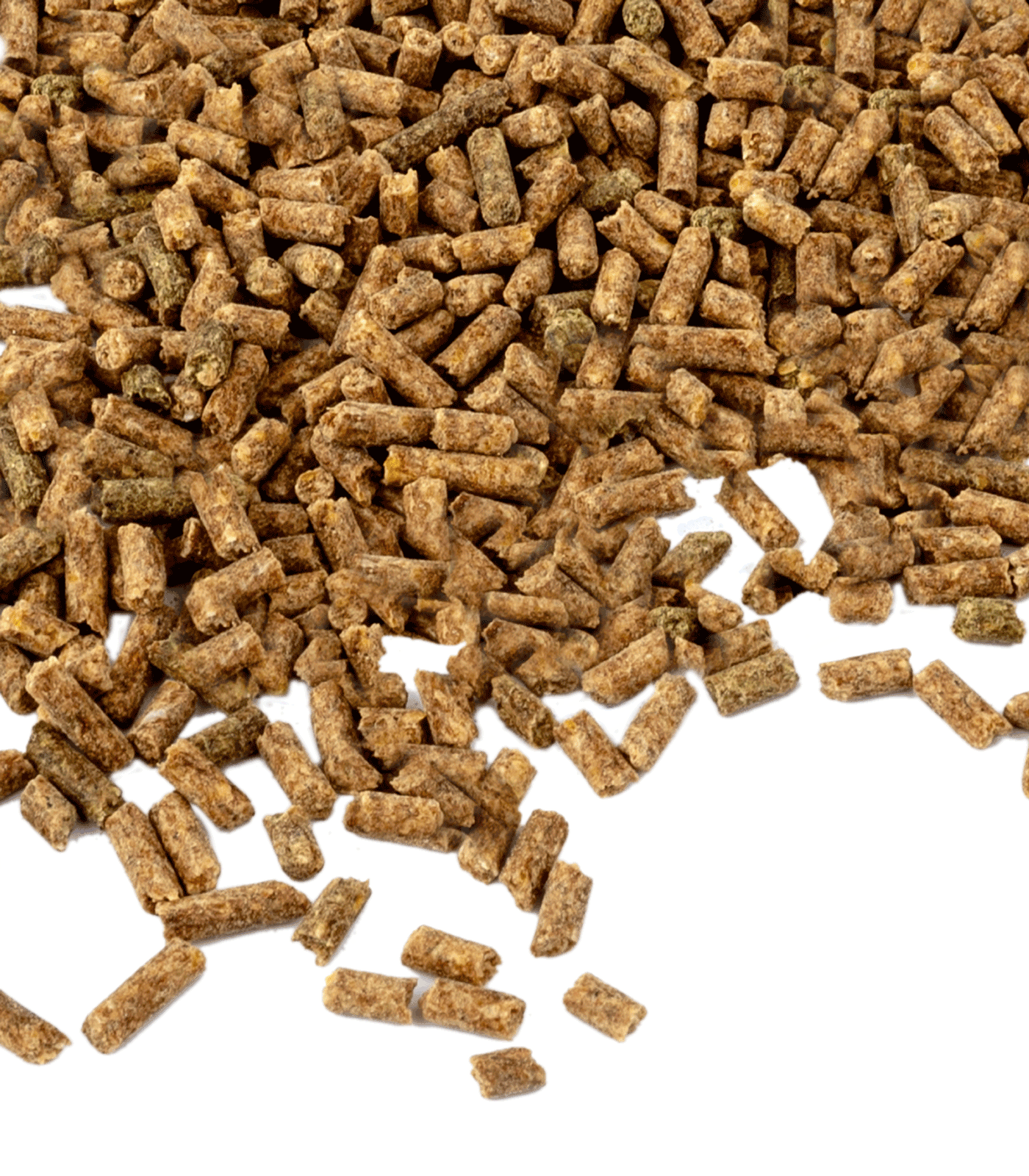 Waldhausen Vitamin E Forte 1 Kg.