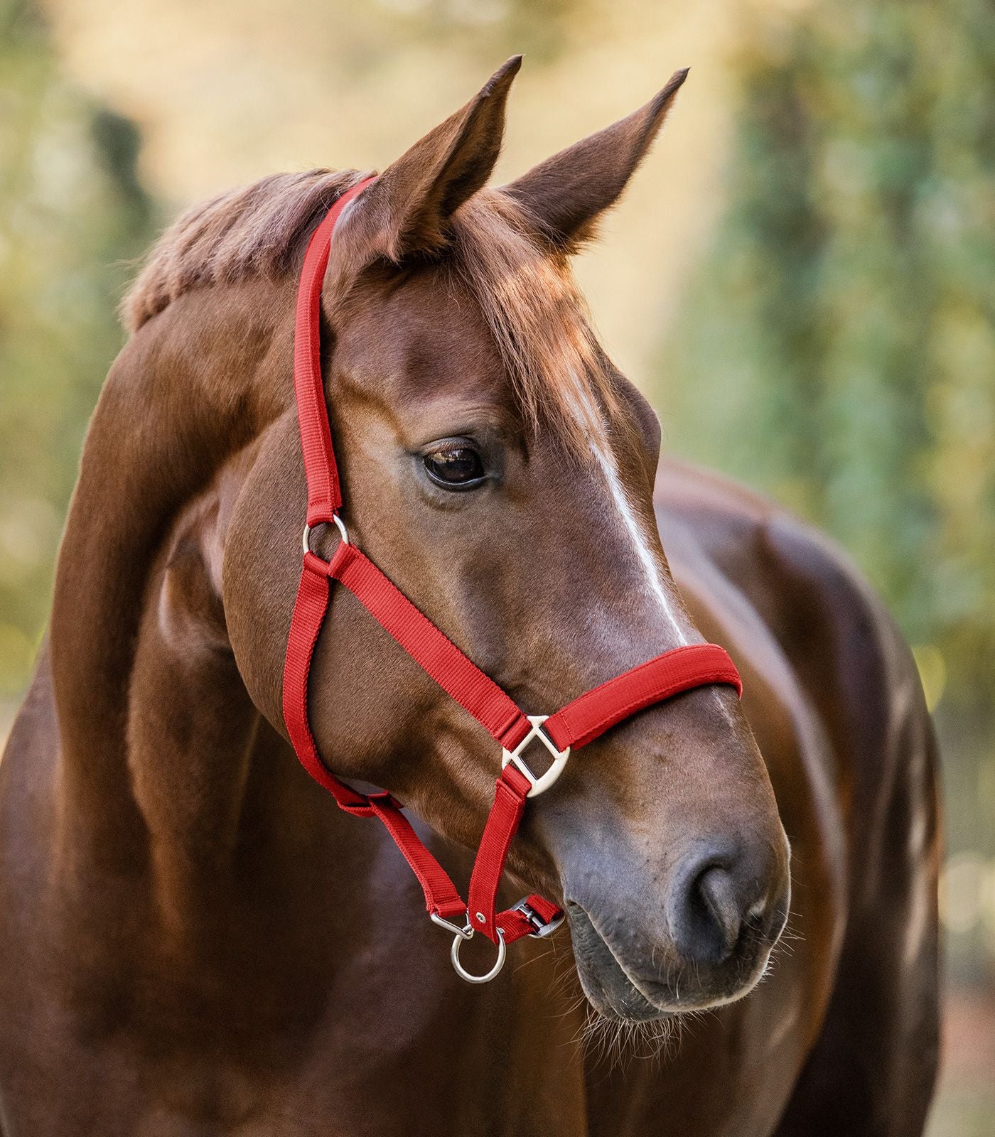 Waldhausen Perlon Satin Grime - Rød