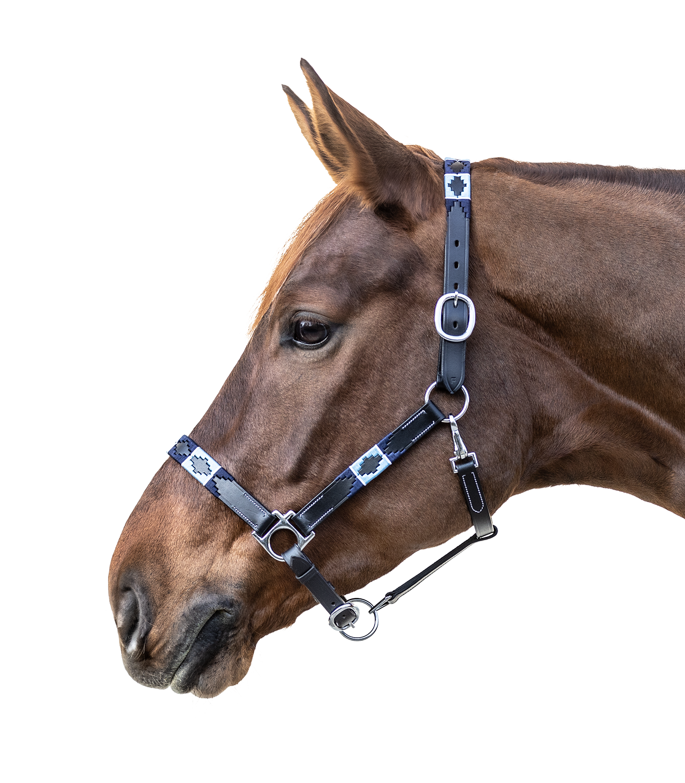 Waldhausen X-Line Polo Grime