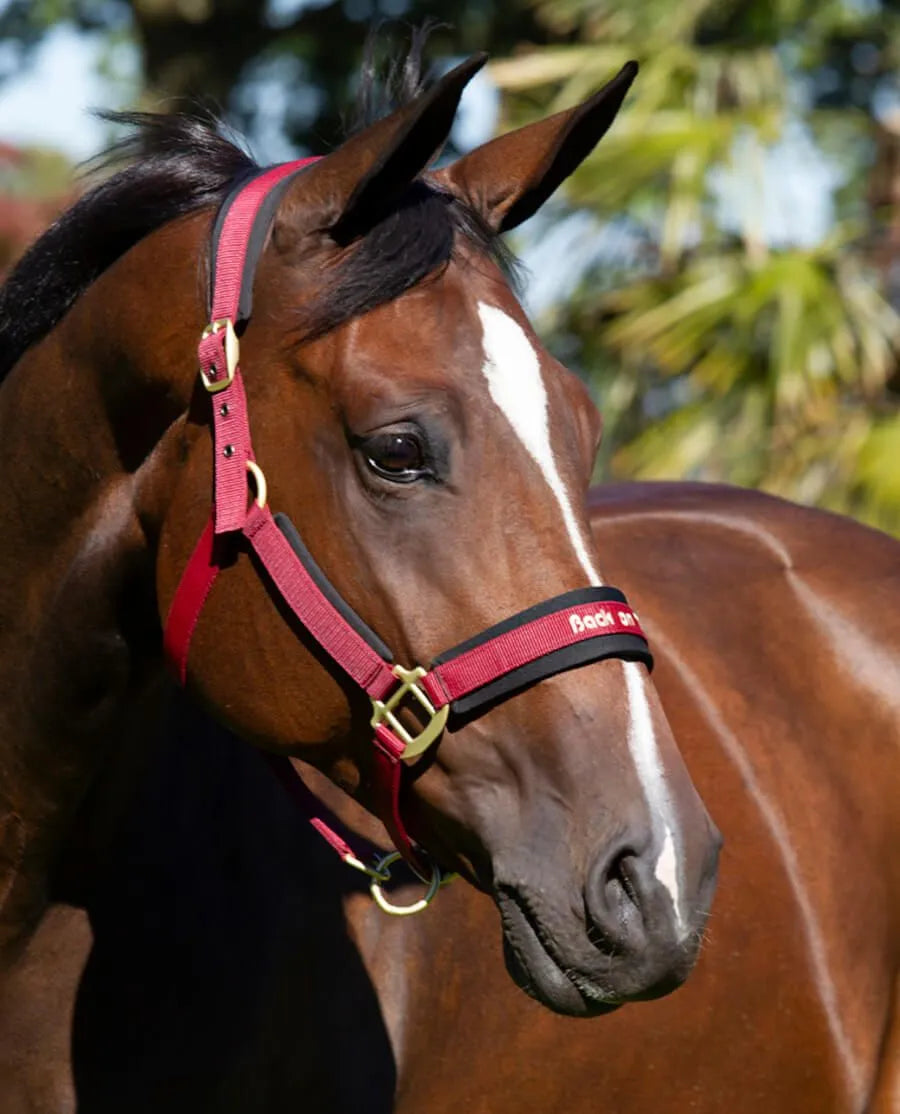 Back On Track Werano Grime - Vinrød