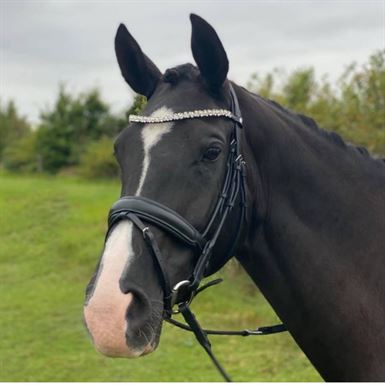 ByWeber Andrea Rundsyet Trense - Sort