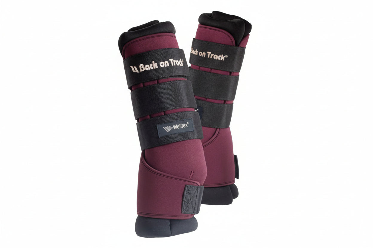 Back on Track Staldbandager - Bordeaux