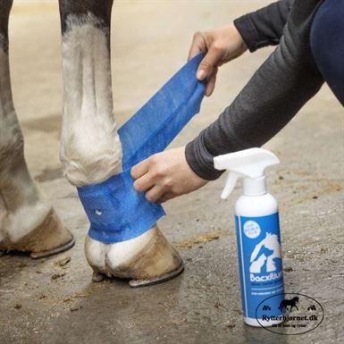 Bacxitium Ben- & Mukplaster